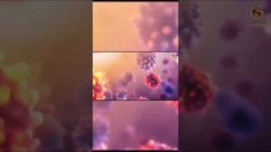 🌿Конопляное масло — натуральное спасение от боли и тремора 🌱