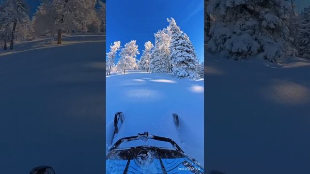 Зимние приключения на снегоходе: адреналин в каждом повороте!