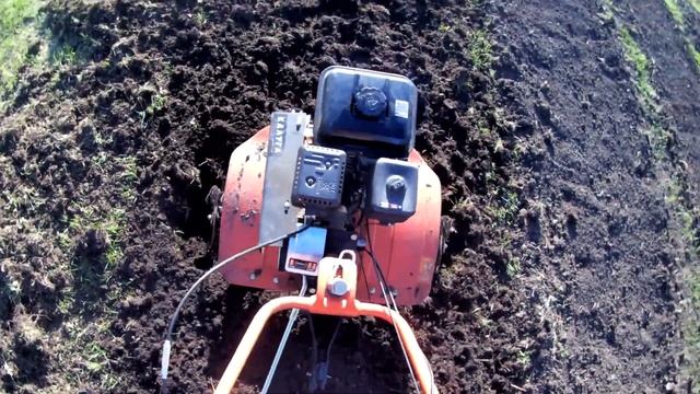 грядка. Мотоблоком ПАТРИОТ калуга (пониженная ) смотреть онлайн