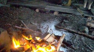 С.Сорокин. По первому постоянному снегу 19.11.11.