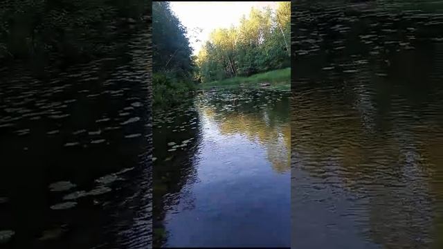 Сплав_Витя