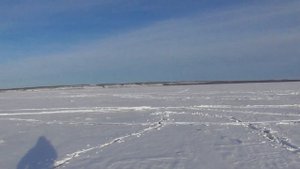 Зимняя рыбалка Кама судак и берш на тюльку с Кама Фишинг местечко пески