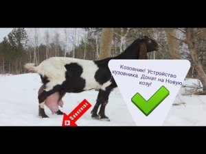 Козовник ! Устройство козовника, Донат на Новую козу!