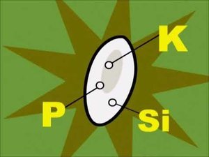 Vitaminix - Επεισόδιο 42 "Ρύζι - Κουνέλι" (0-6 tv, Greek)