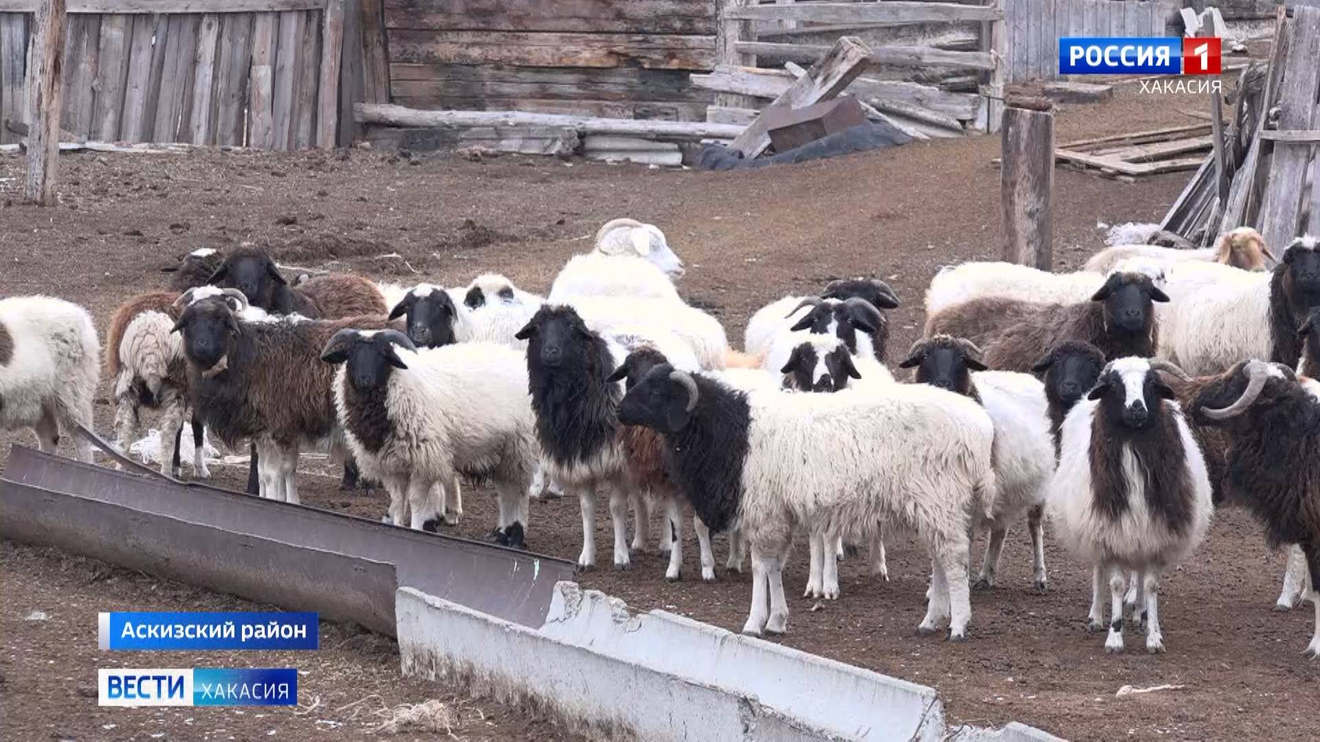 "Живой" кредит