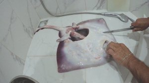 Не приступайте к разделке ската, пока не посмотрите это видео.