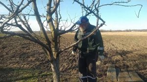 СТОЙКАЯ ПОБЕЛКА ДЛЯ ДЕРЕВЬЕВ Побелка деревьев весной