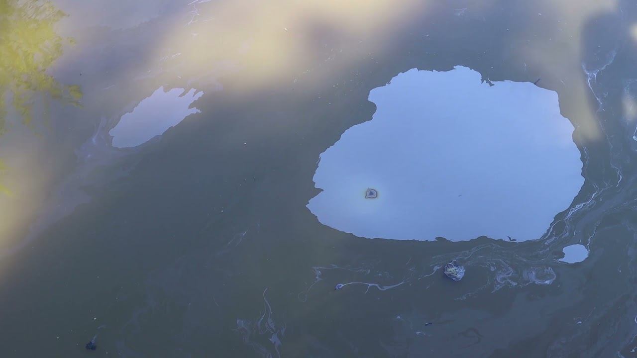 Свалка в п. Понтонный