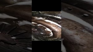 Sanita анти жир