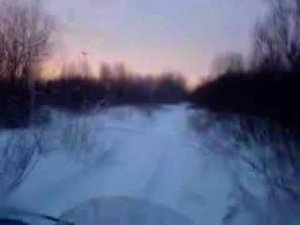 на буханке по лесу
