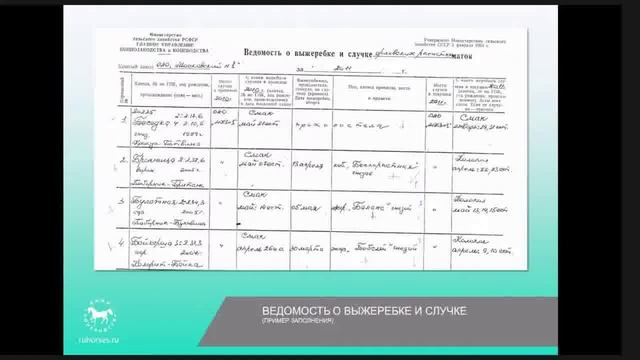 О первичной документации и племучет. Калинкина Г.В._ ВНИИК. Март 2023