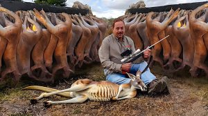 Как Австралийские Фермеры Борются С Вторжением Миллионов Кенгуру