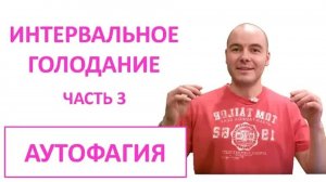 ПЕРИОДИЧЕСКОЕ ГОЛОДАНИЕ часть 3 | АУТОФАГИЯ | КЕТО и ПГ