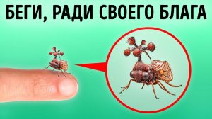 Моменты красных флагов: спасайтесь, пока не поздно. Срочное предупреждение из жизни