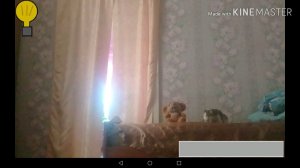 5 ночей с ёжиком. 6 ночь. Конец истории