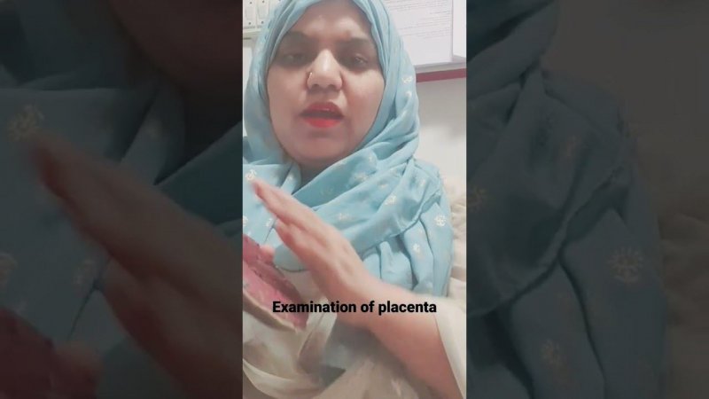 placenta Examination