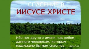 ...ибо нет другого имени под небом, данного человекам, которым надлежало бы нам спастись. Деяния-4я