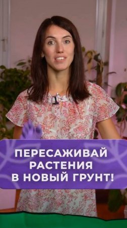 90% растений ГИБНУТ из -за этого!_#растения_#садоводство