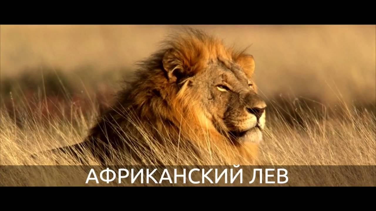 Екологія 11 клас