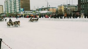 Воркута. 24.11.24. Оленьи бега. Часть первая.