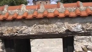 Даниил Сысоев. Македонский раскол