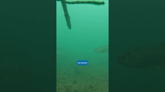 Что будет, если не правильно оценить прозрачность
