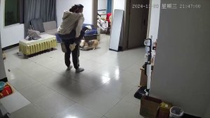 Как спрятаться от корги? Очень просто