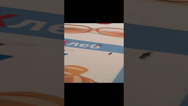 спрунки 4 серия: милости дролости смотреть онлайн