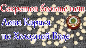 Выручает всегда! По Холодной воде Насадка на Карася