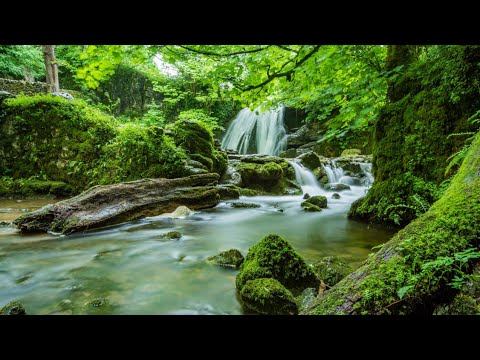 🧘♀️🍀🧘♂️meditation music water and nature sound.calm music🧘♀️🍀🧘♂️