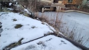 фофа VS пушок