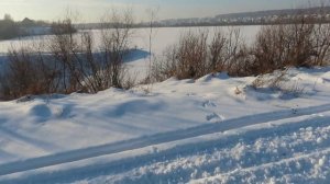 Следики зверьков, каркающий чёрный ворон(но далеко был)