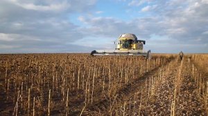 Комбайн New Holland CX6090 с жаткой Zaffrani 940N