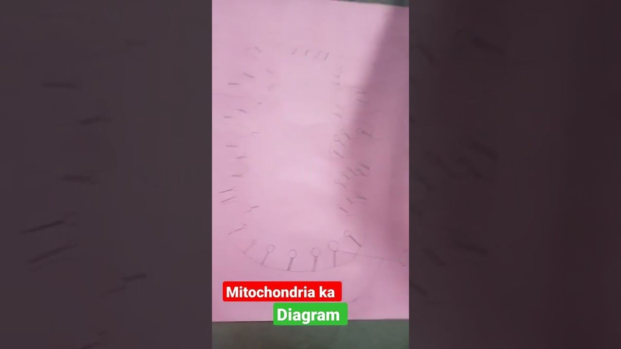 #mitochondria ka diagram #motivation biology Students #most IMPORTANT