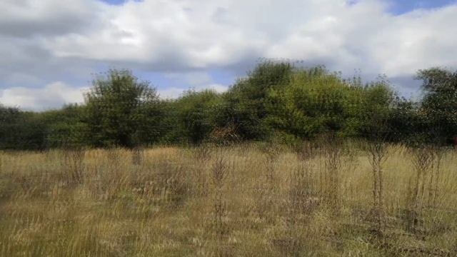 Тихая охота. Грибной рай.