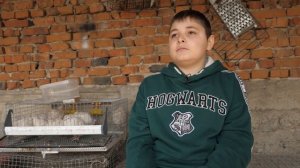 Юный птицевод Давид Нарсавидзе и его пернатый бизнес