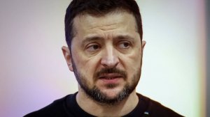 «Это просто ужасает»: Такер Карлсон назвал Зеленского диктатором