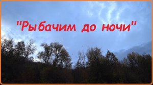 "Рыбачим до ночи"