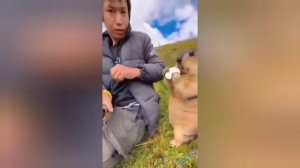 Смех да и только