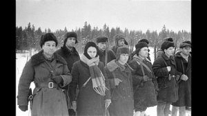 Она защищала столицу. Подвиг Александры Дрейман