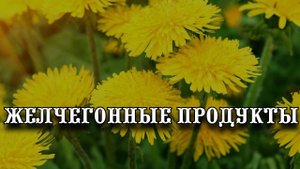 КАКИЕ СУЩЕСТВУЮТ ЖЕЛЧЕГОННЫЕ ПРОДУКТЫ?