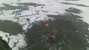 Рыбалка жерлицами на щуку с сыном