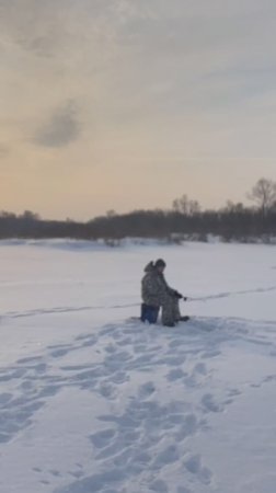 Здесь рыбы нет! #fishing #fishingvideo #зима #рыбалка