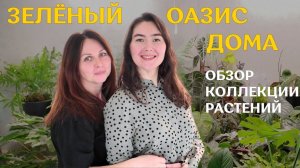 В ГОСТЯХ у Виктории | ОБЗОР коллекции РАСТЕНИЙ | зелёный ОАЗИС в доме