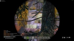 DayZ