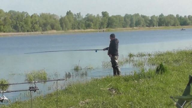 Рыбалка весна Курнали Мурзиха Что за птица