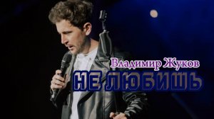 Владимир Жуков - Не любишь Live версия