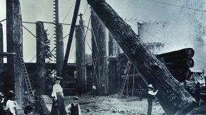 Самый большой деревянный дом в мире! Зачем его построили?