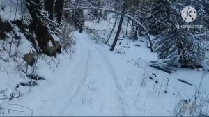 Зима в горах Алтайского края.
Видео Священника Пушкарёва Виктора