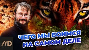 Чего мы боимся на самом деле? | Дробышевский